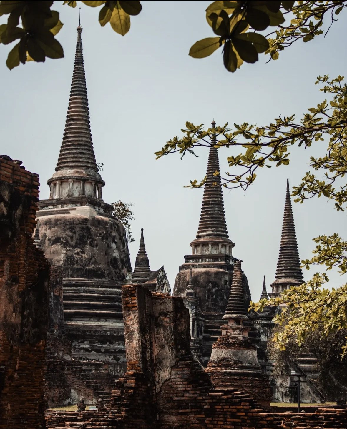 Cool season morning light over ancient temple ruins on an Ayutthaya Historical Park Tour