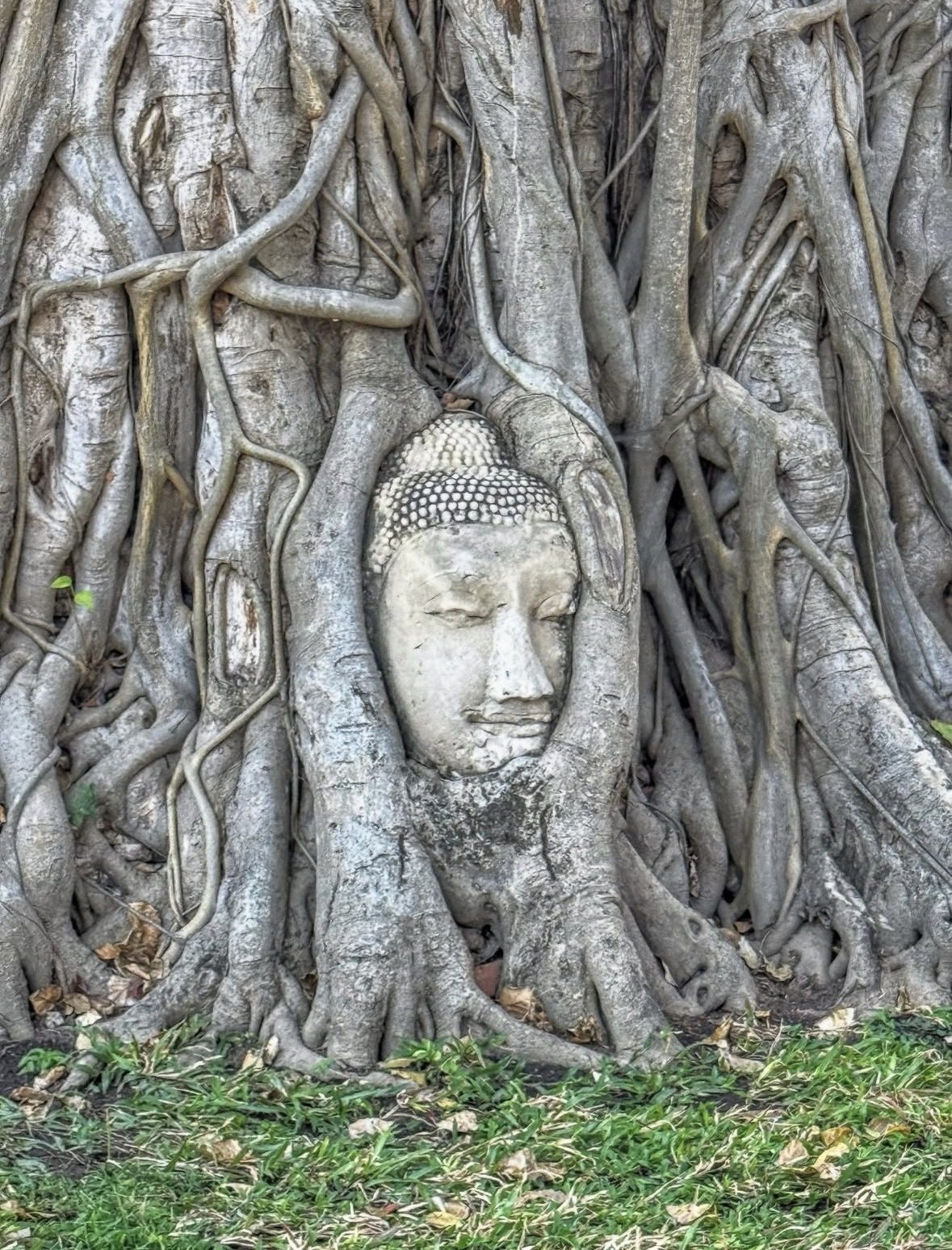 Respectful visitors in modest dress exploring temples on Ayutthaya Historical Park Tours